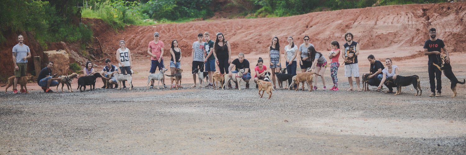 Cãogonhal - Proteção Animal's banner