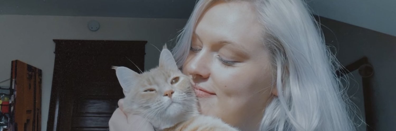 grace_gaustad's profile banner image