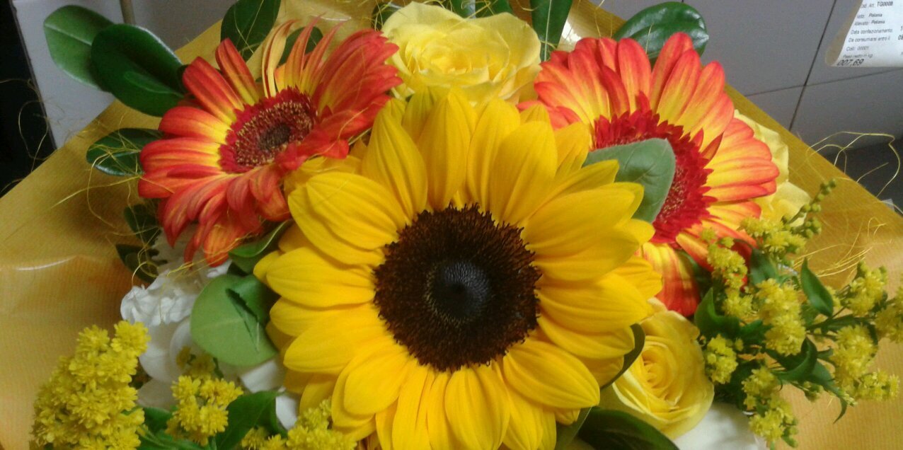 Valentina Barni banner