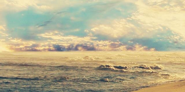Y_mapriri's profile banner image