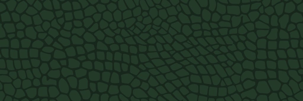 losmios_co's profile banner image