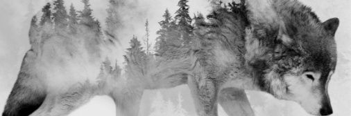 BladiloIvan's profile banner image