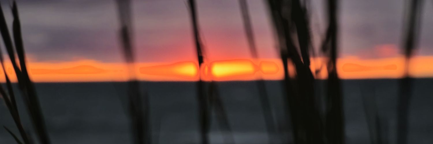 OmgNigel's profile banner image