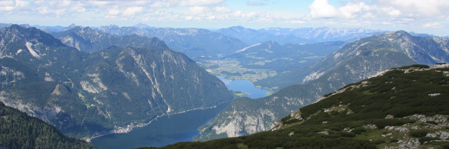 Alistair Irvine banner