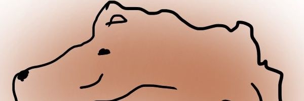 kenmin's profile banner image