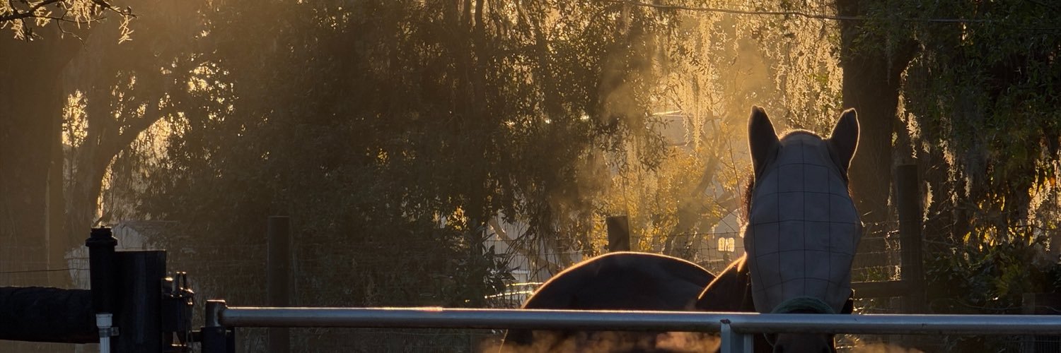 gavoh_'s profile banner image