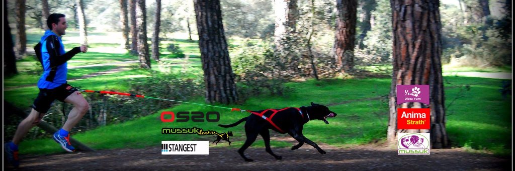Geoserriver's profile banner image