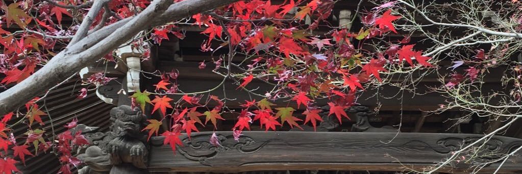 かーなー@チーム炭 banner