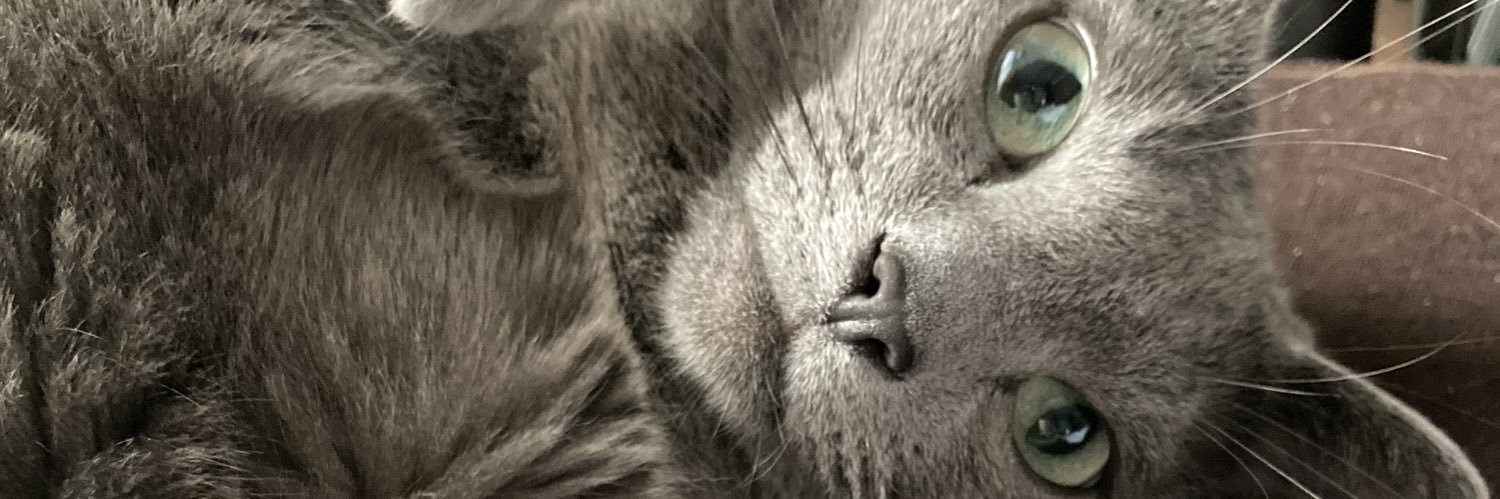 ma0522yu's profile banner image