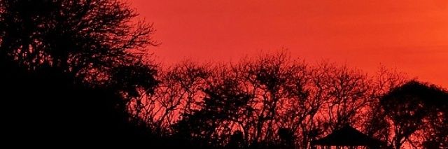 pragusta's profile banner image