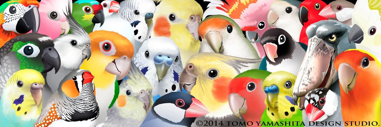 tmooyy's profile banner image