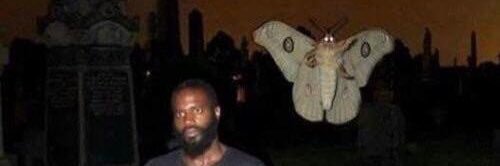 Dan-G🏴󠁧󠁢󠁷󠁬󠁳󠁿🦗 banner