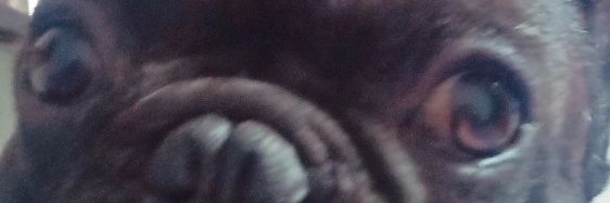 Nicolas_Tensa's profile banner image