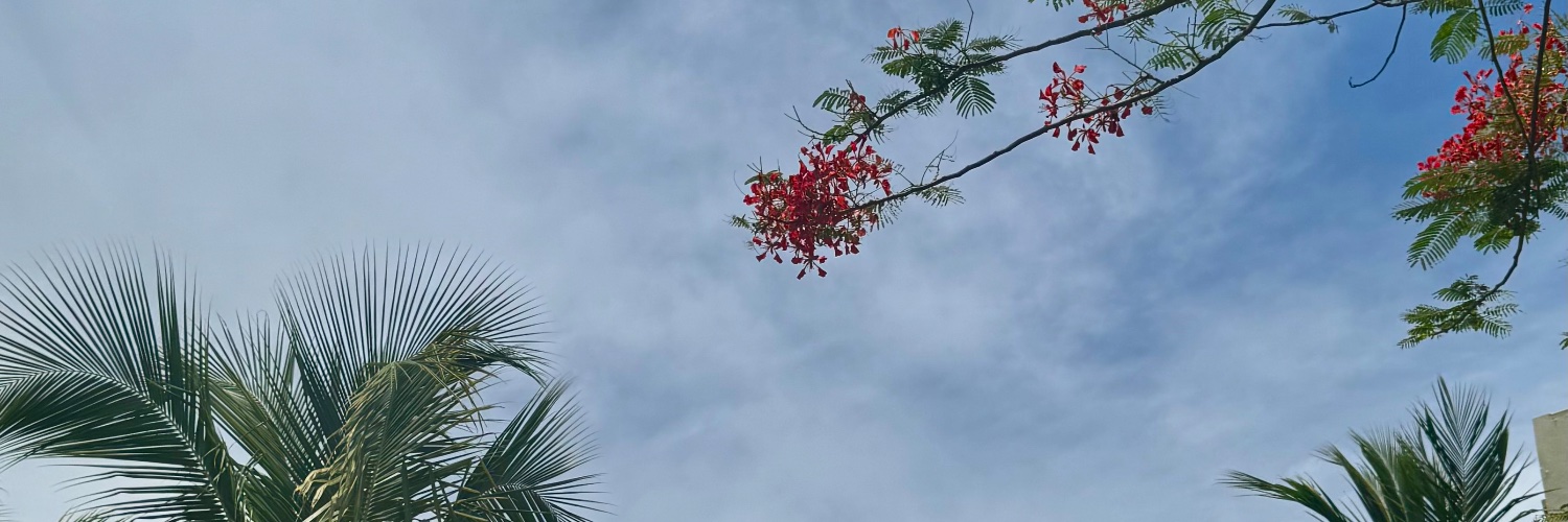 madasaurus's profile banner image