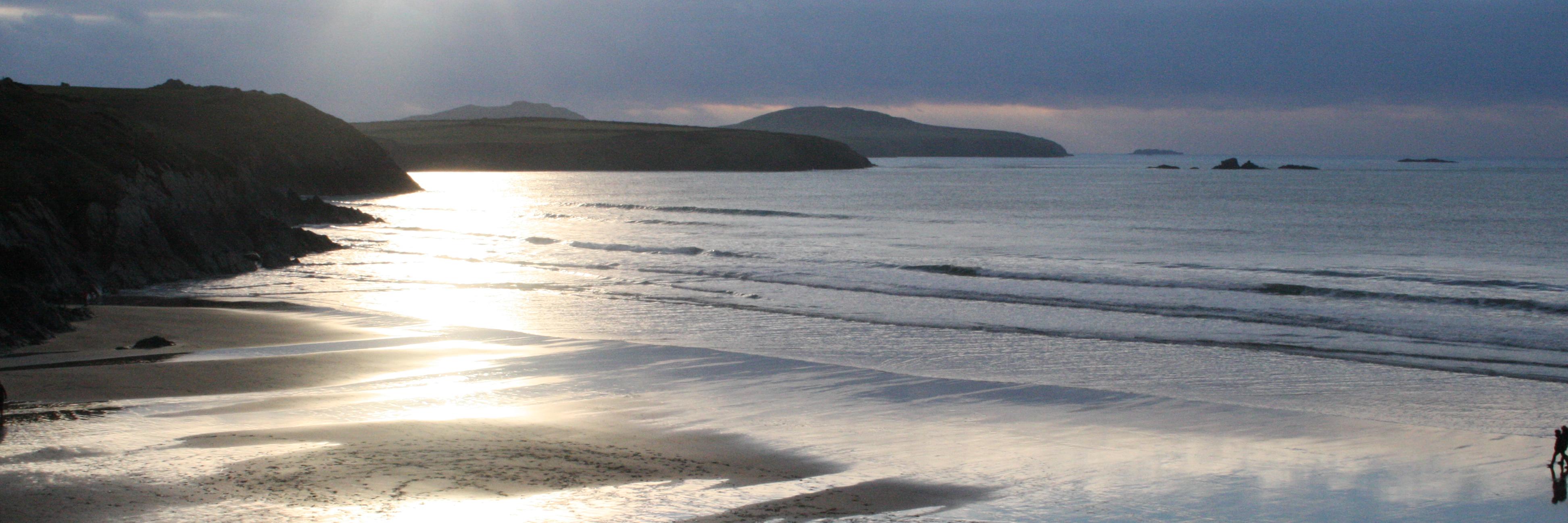 Caroline Horton banner