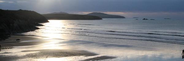 carolineplays Profile Banner