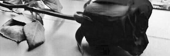 moeragetes's profile banner image