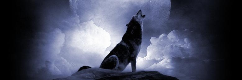 TolgaCoskun48's profile banner image