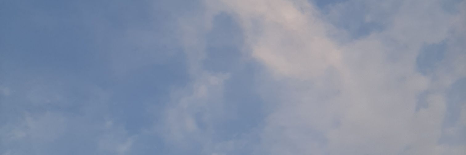 owyfeeder's profile banner image