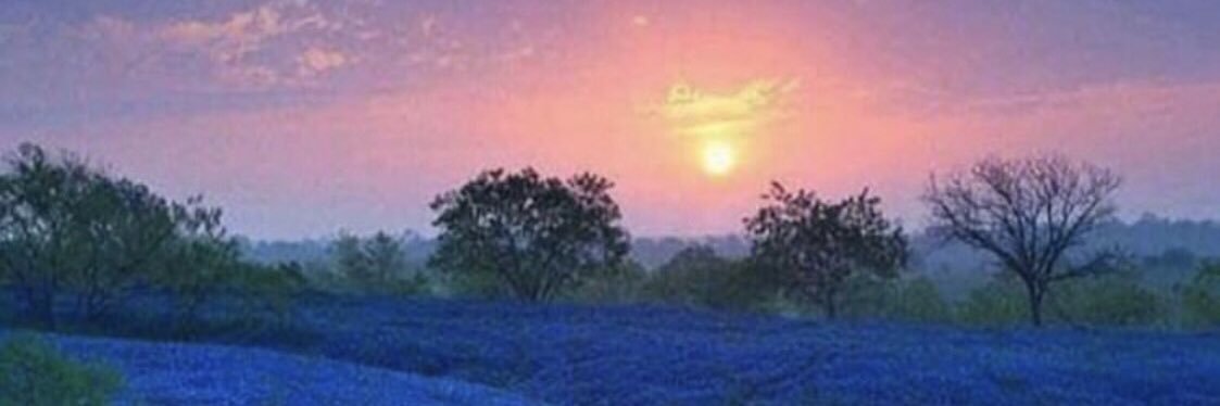 IsraeLLevinDany's profile banner image