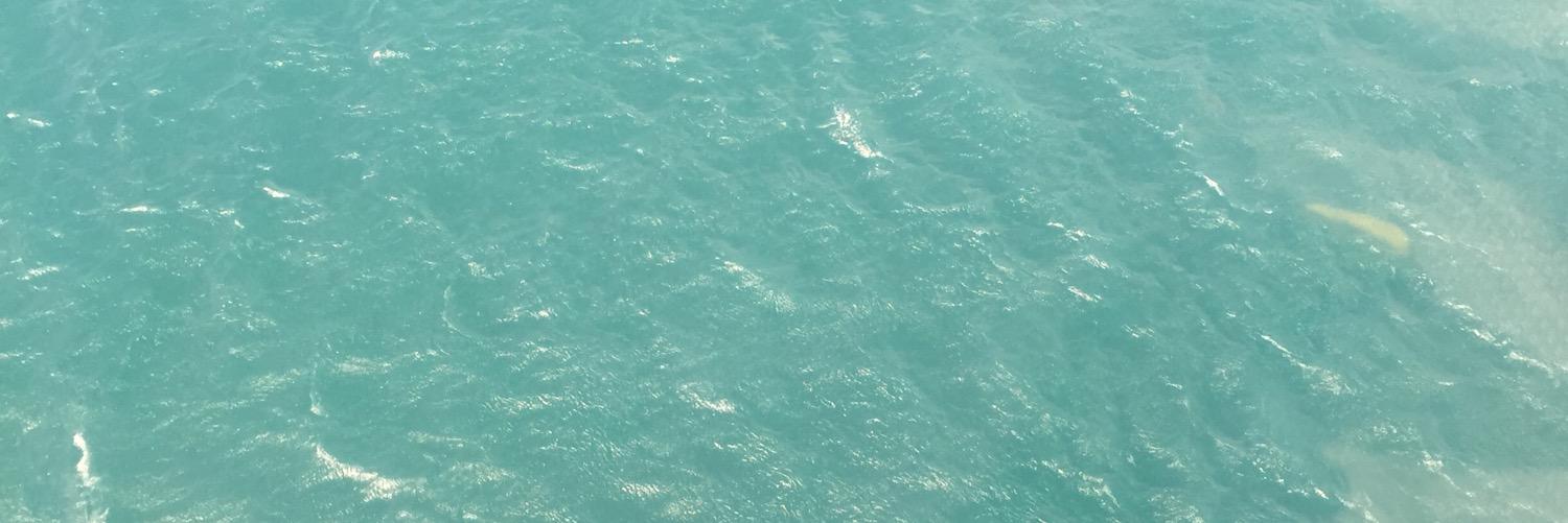 KORDJ's profile banner image