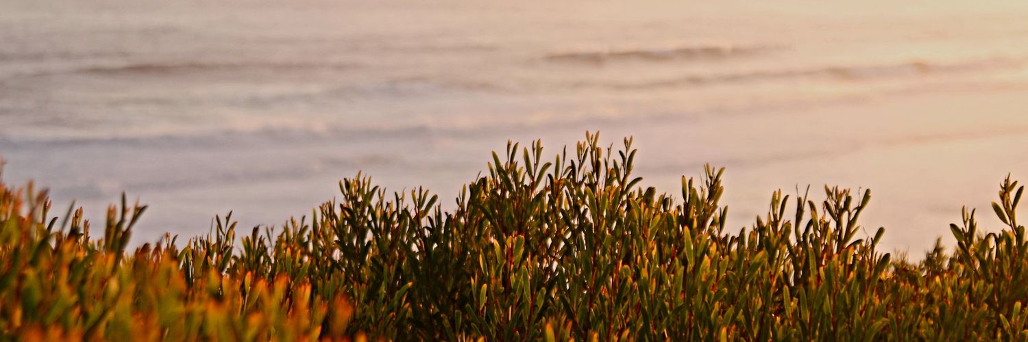 🔰wezo🇿🇦 banner