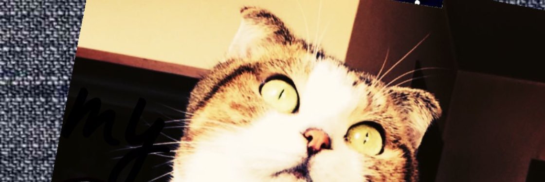 nobicorin's profile banner image