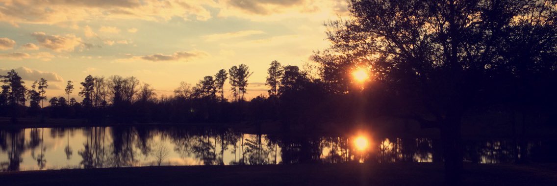 haydaywallace's profile banner image