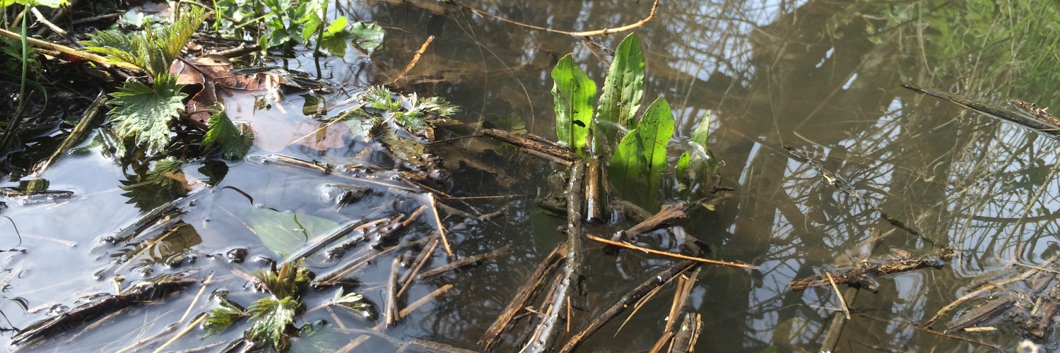 Michael J. Holdsworth banner