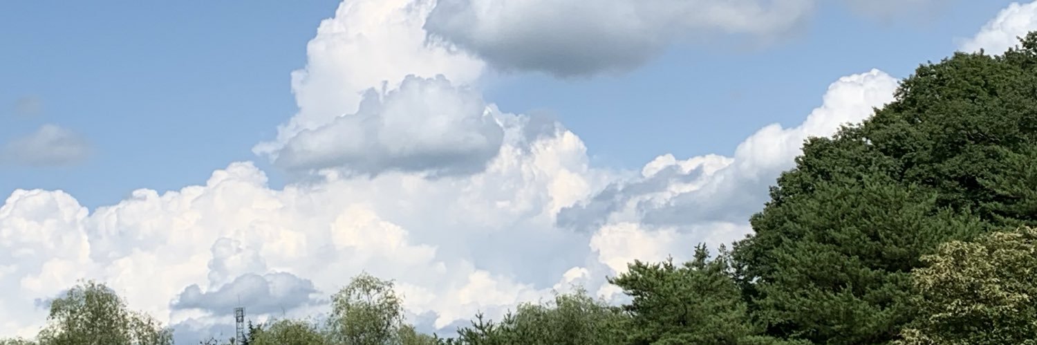 harisukesann's profile banner image