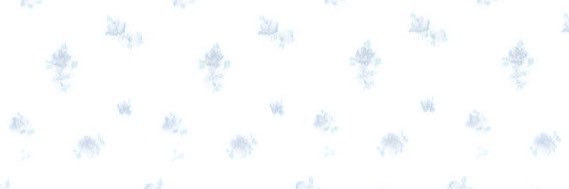 néne banner