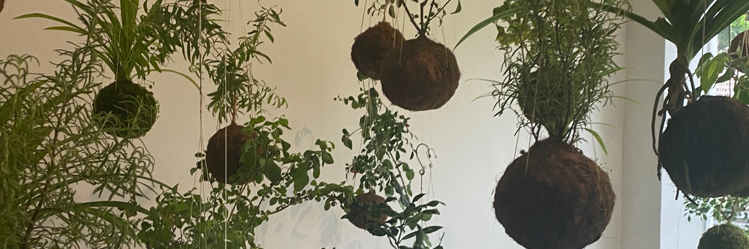 aphroditeacp's profile banner image
