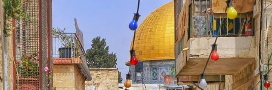 Muhammed Talha banner