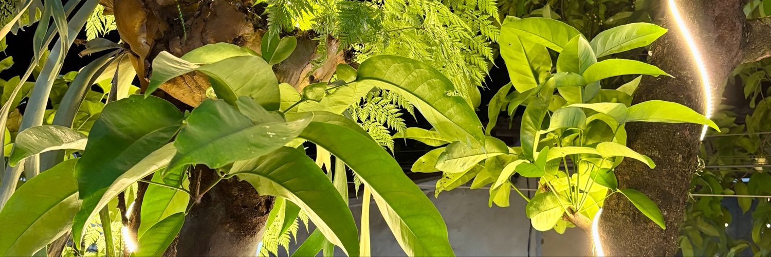 krustaseaaa's profile banner image