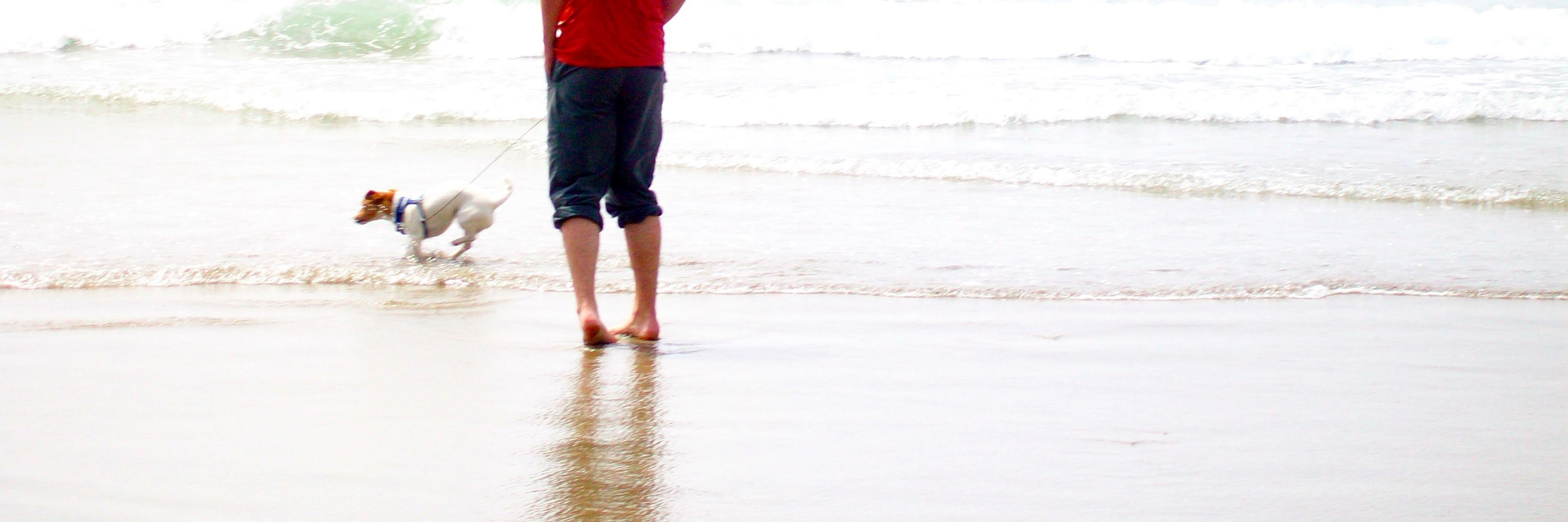 AlexHoselton's profile banner image