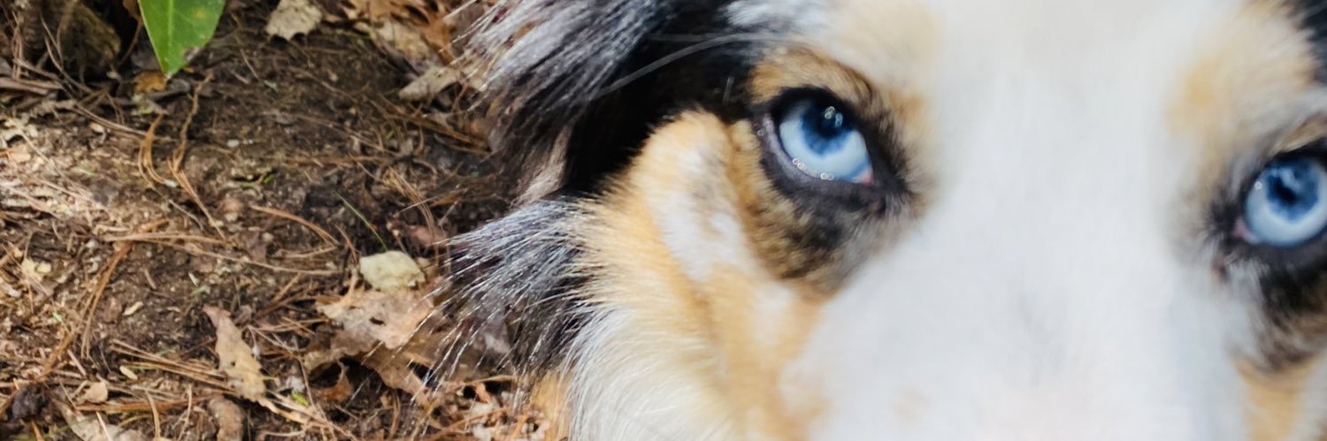 jennarakay's profile banner image