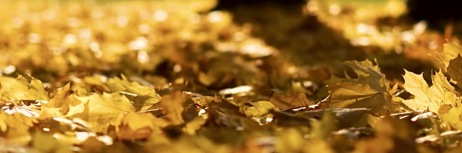 APN _. Montreal.Canada. banner