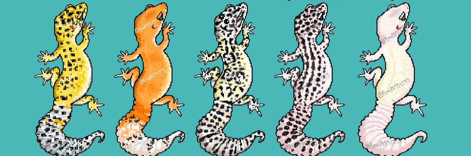 🦎Aya🦎 @BO東京8/10出店！'s banner