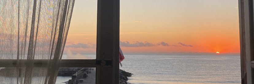 allegraperinii_'s profile banner image