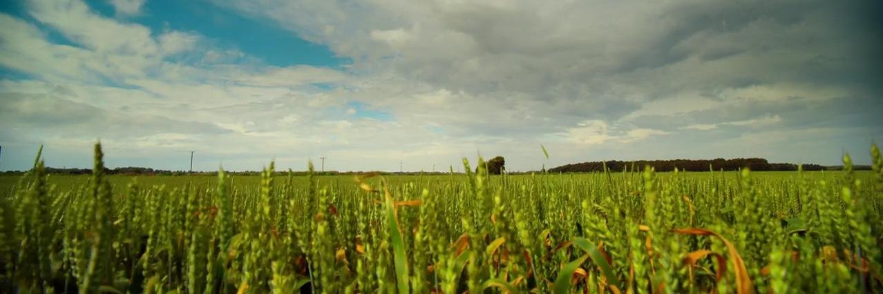 ttdohelber's profile banner image