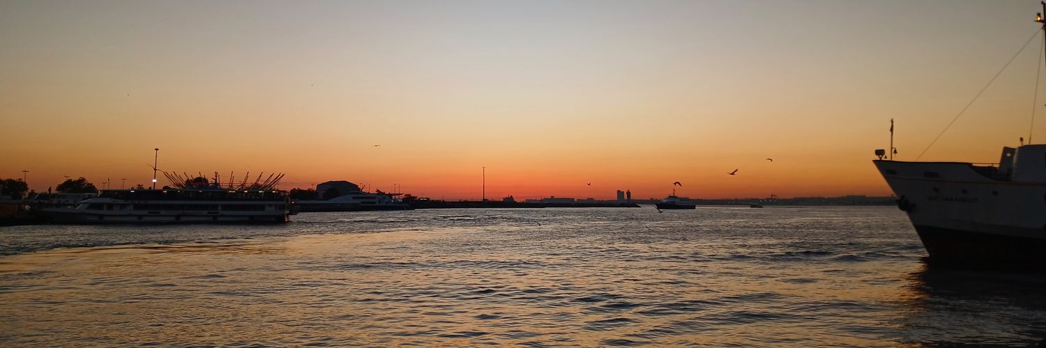 Pınarr banner