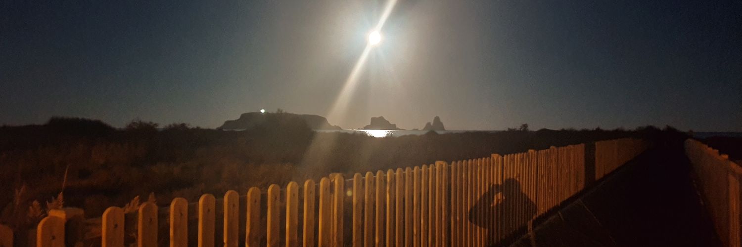 Imma Feliu i Xuclà banner