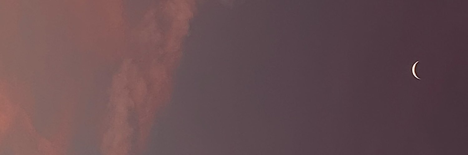 rysoysauce's profile banner image