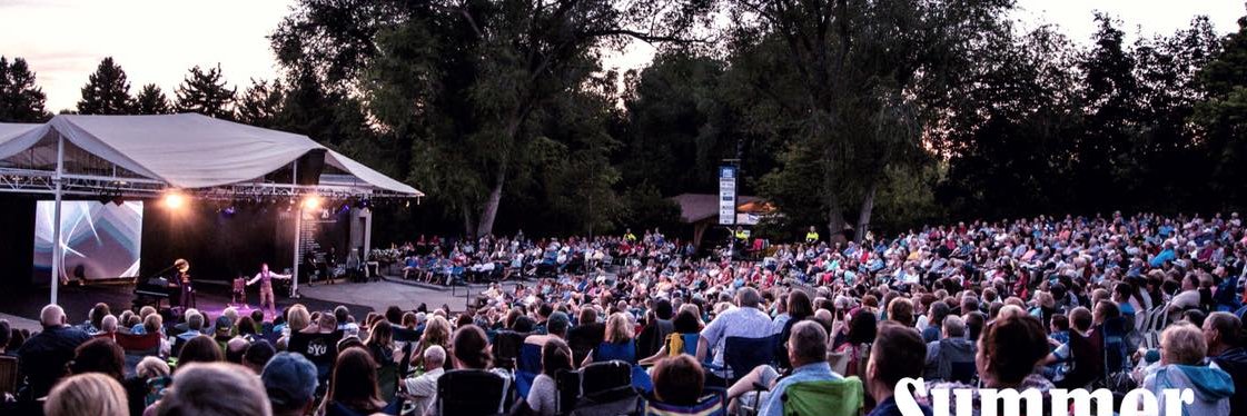 Davis Arts Council banner