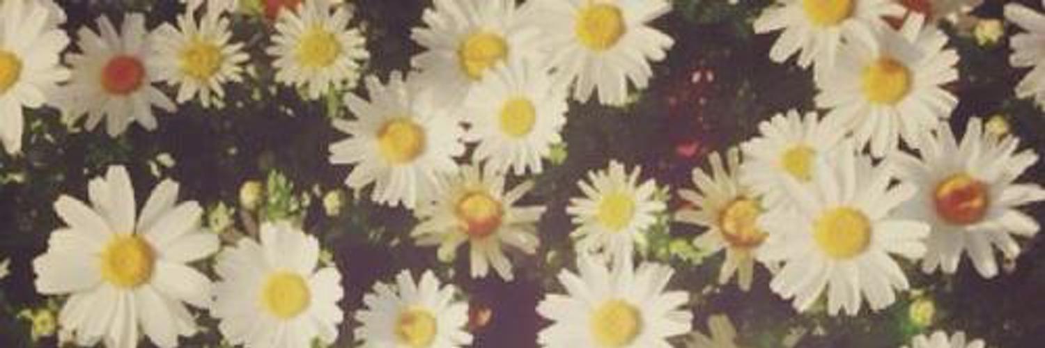 CoronelAbi's profile banner image