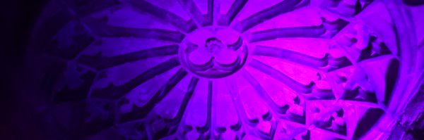 Neil_Light Profile Banner