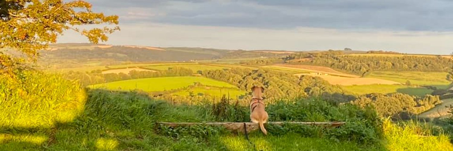 Marie Tucker Profile Banner