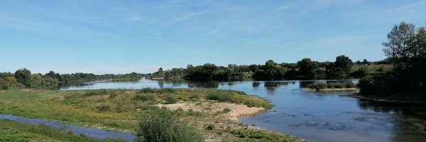 LogothetisTheo Profile Banner