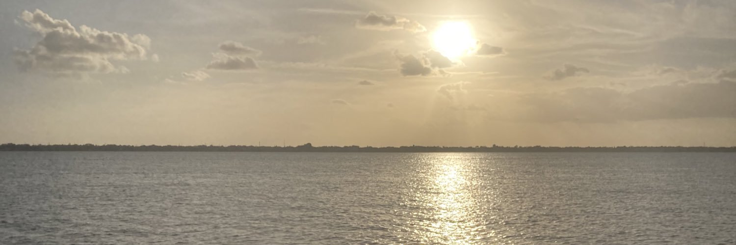 Cris banner