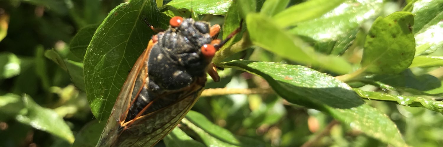 Kenneth W Witwer (he/him) banner